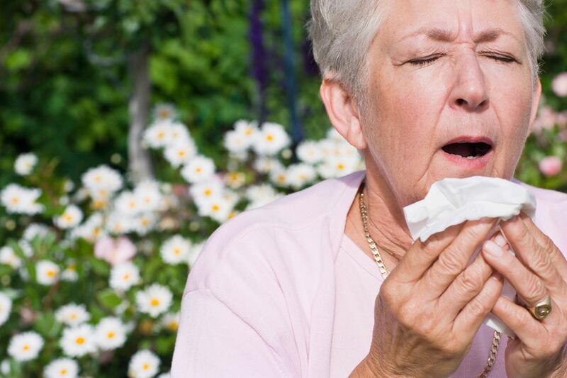 Plum Landing - Soothe your allergy symptoms with these natural remedies