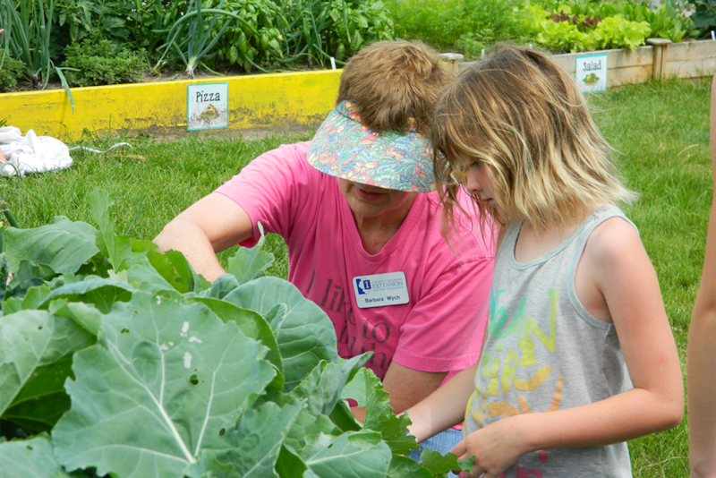 Master Gardener volunteers participate in education programs in their communities.