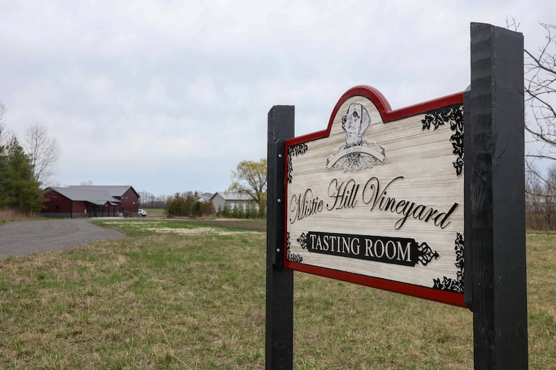 Mistie Hill Vineyard, located in Custer Park, has opened a tasting room at the rural winery.
