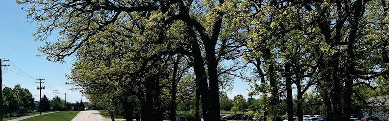 Blackberry Oaks Golf Course previously said the city of Yorkville removing more than a dozen trees from in-front of its clubhouse would harm the nature aesthetic of the area.