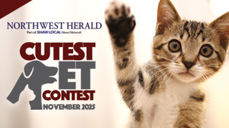 McHenry County November Cutest Pet