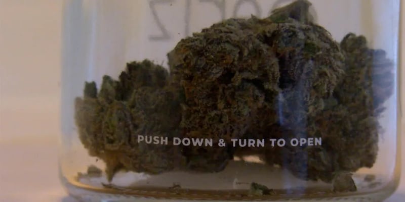 Raw cannabis as sold in a dispensary.