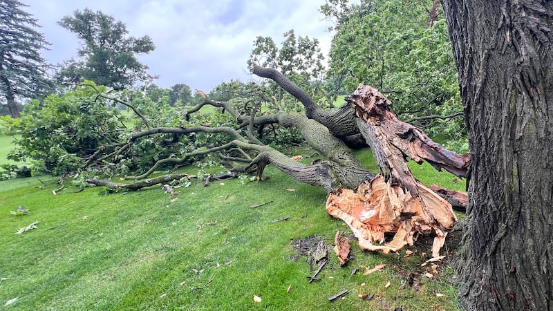 Photos: Wednesday morning storms damage trees at Sycamore Golf Club
