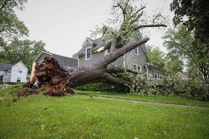 A tree fell onto a home in Harvard during storms June 3, 2025.