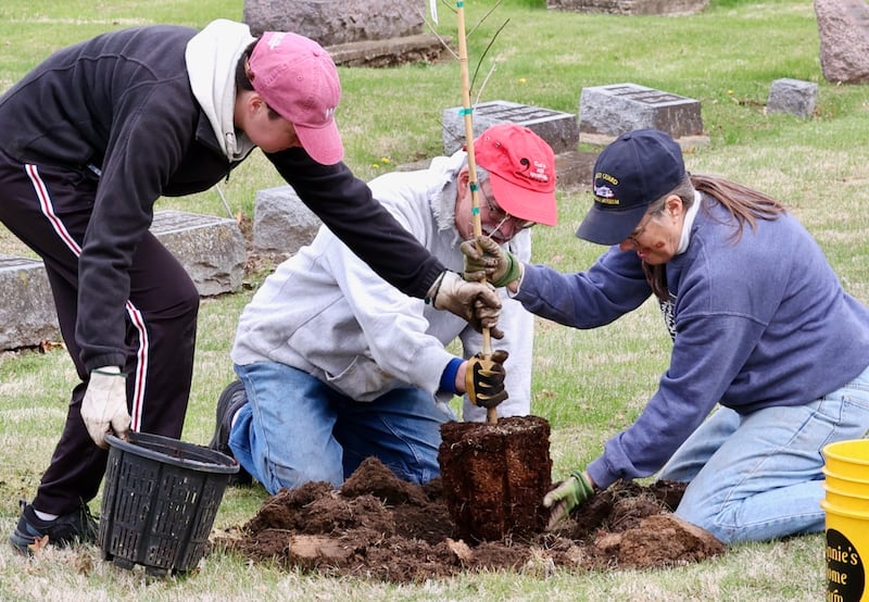 Volunteers plant 100 trees Saturday, April 19, 2025, at Oakwood Cemetery in Princeton during an event coordinated by the Princeton Tree Board.