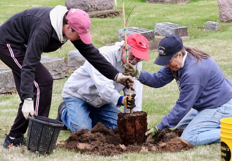 Volunteers plant 100 trees Saturday, April 19, 2025, at Oakwood Cemetery in Princeton during an event coordinated by the Princeton Tree Board.