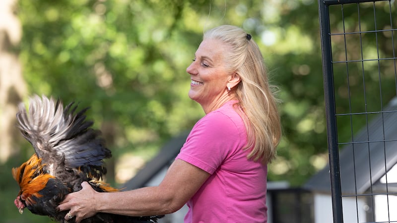 Farm sanctuary seeks to expand on Dixon Public School property; district officials say it’s not for sale