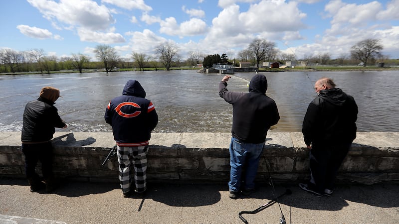 Illinois warns anglers not to eat too much locally caught fish