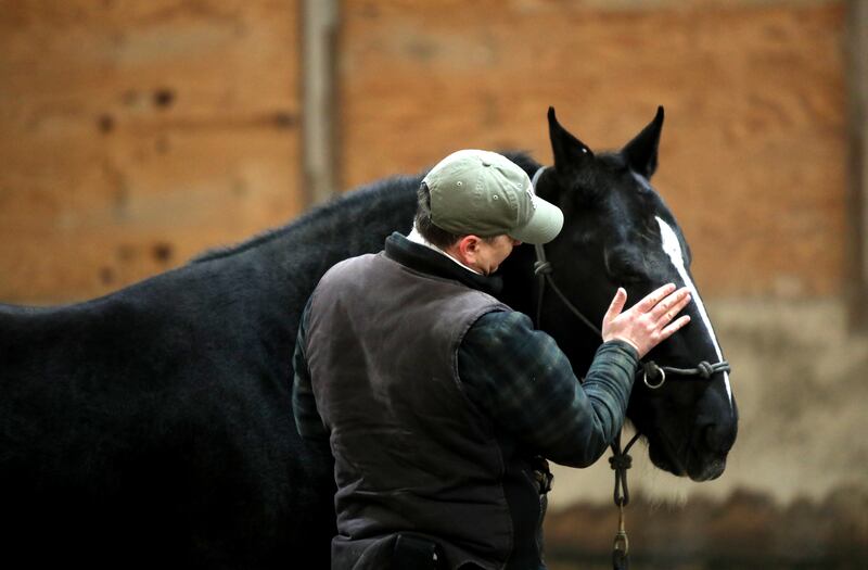 Horse Trainer Mitch Bornstein works with Prince at Casey’s Safe Haven in Maple Park.