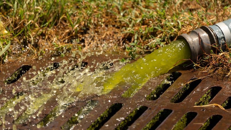 Trump tries to blame Reflecting Pool woes on vandalism, without offering substantiation