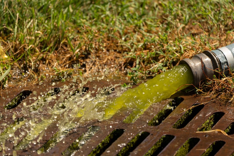 Water from a vacuum line being used by National Park Service employees to clean the Lincoln Memorial Reflecting Pool pours into a nearby drain, Saturday, June 20, 2026, in Washington. (AP Photo/Mark Schiefelbein)
