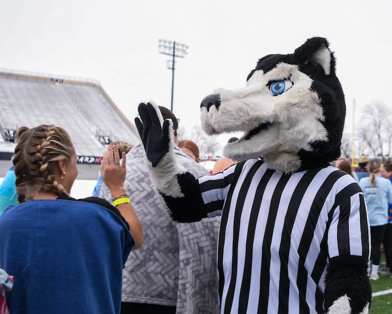Victor E. Huskie gives high fives to participants waiting to take their plunge on Saturday, Feb. 15, 2025, during the 2nd annual Polar Plunge at Northern Illinois University's Huskie Stadium in DeKalb. Proceeds benefited the law enforcement torch run for Special Olympics.