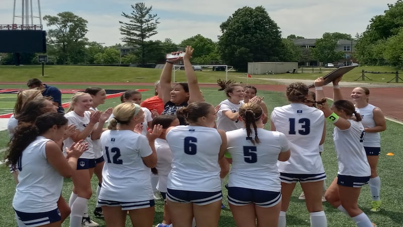 Lisle upsets ICE rival Herscher with 1-0 win in sectional championship