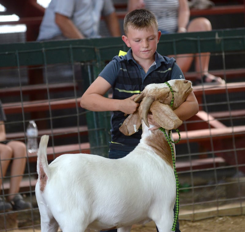 Taden Roach, 9, of Ashton, holds his goat "Chocolate Chip" as he shows her in the "lee County Born & Bred Division" at the Lee County 4-H Fair on Thursday.