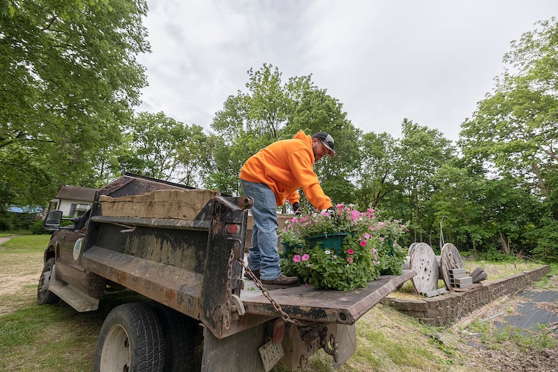 Everett Dearing loads up baskets of petunias in the back of a Dixon city truck Tuesday, May 27, 2025. Workers picked up the flowers from Nichol’s Greenhouse to put them on the poles around town.