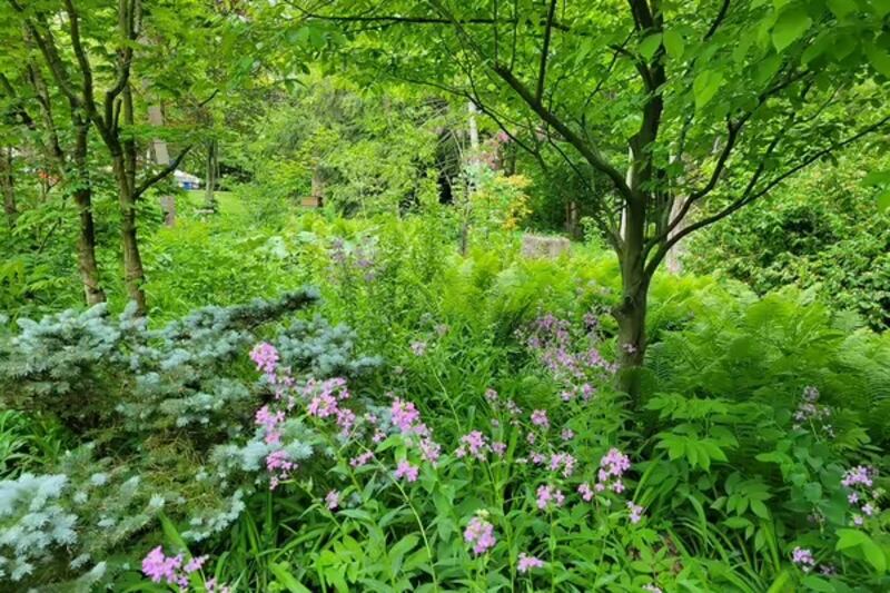 A layered landscape has canopy and understory trees, shrubs, flowering plants, and shrubs.