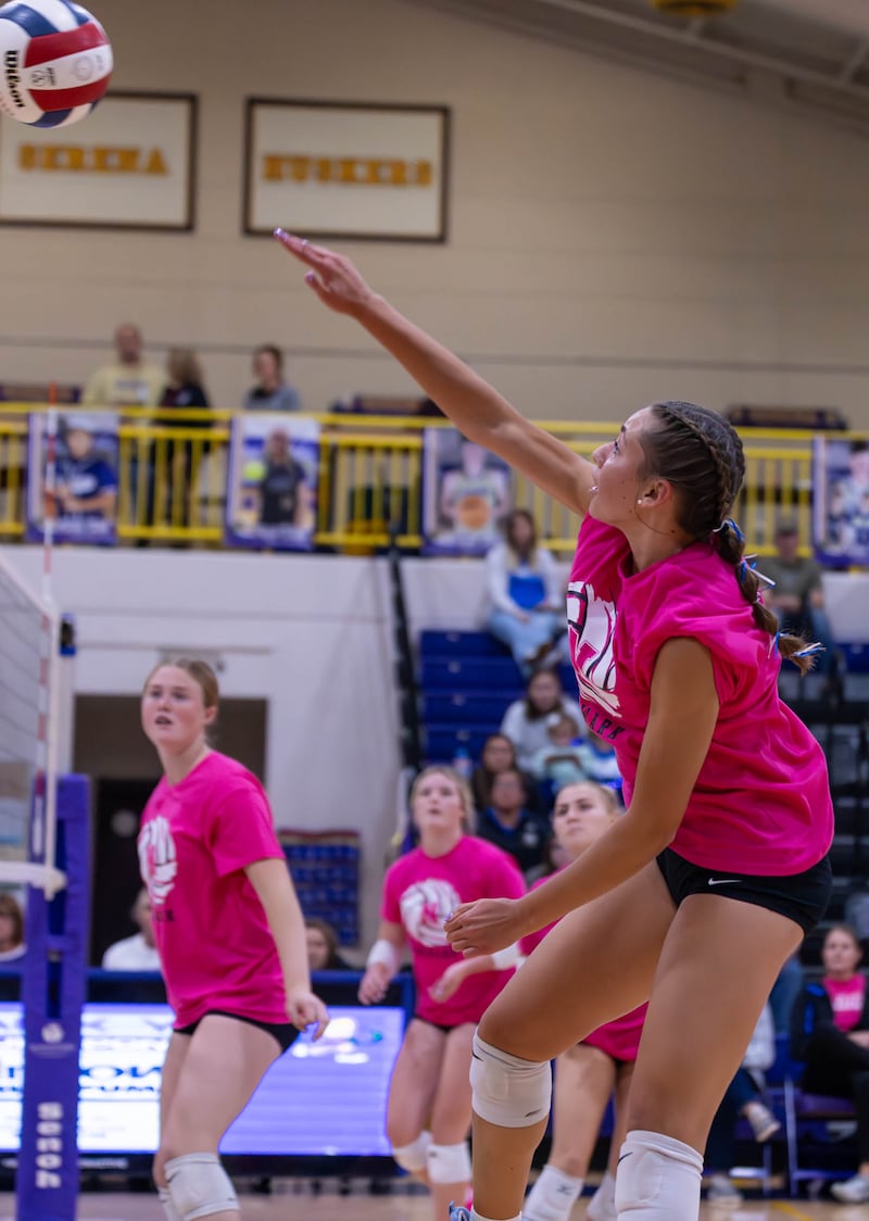 Newark High School's Heather Buhle spikes the ball early in the second game Saturday night at Serena High School.