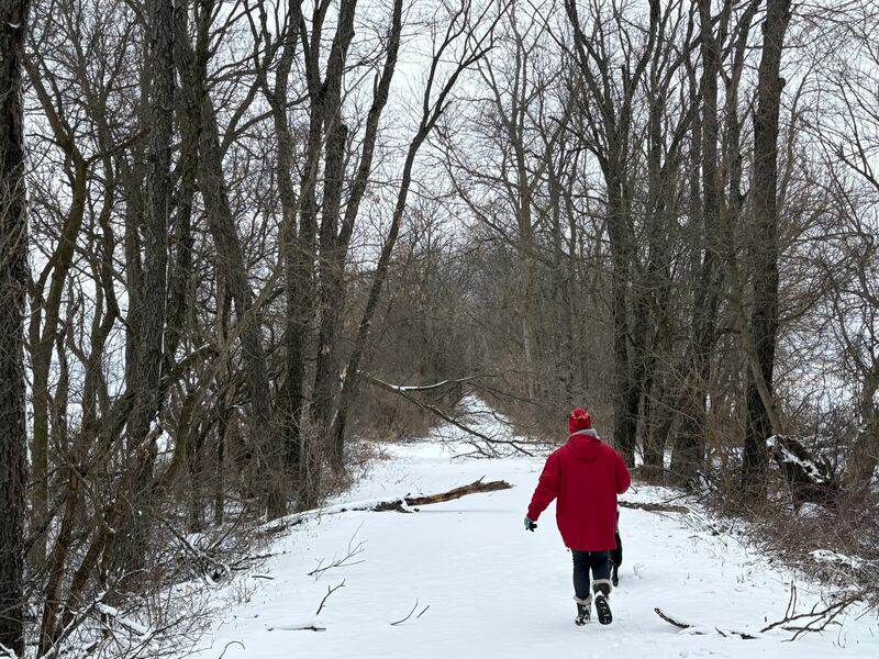 Terri Kearnes, of McHenry, walks the Stickney Run Conservation Area on Sunday, March 16, 2025. She began volunteering with the district's SWEEPS program in October 2024, giving the district police an extra set of eyes for problems in the parks and trails.
