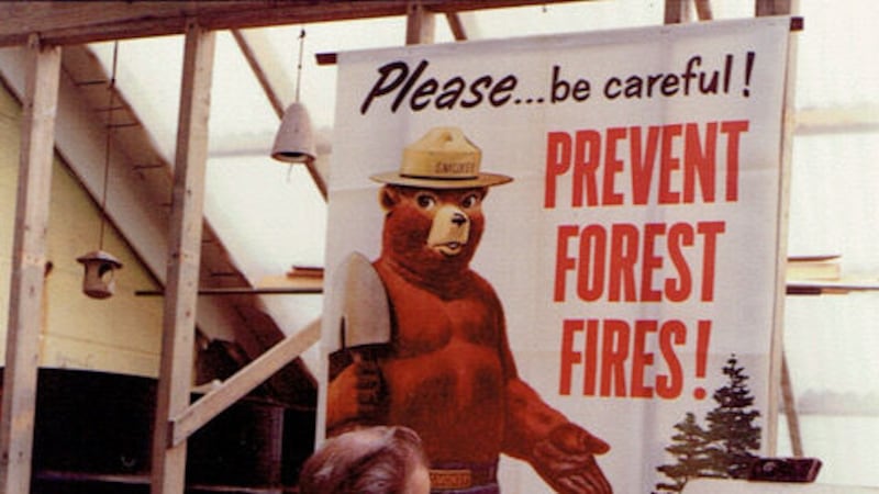 Smokey Bear paintings to be displayed at 5 Will County nature sites