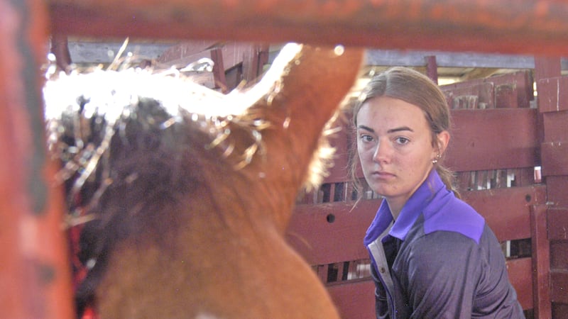 Lee County Fair hosting scavenger hunt to award prize package