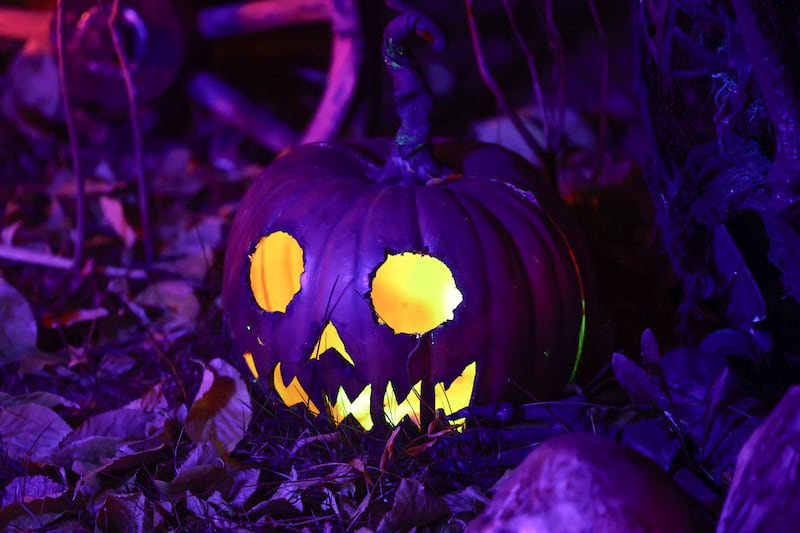 A illuminated pumpkins sits in a yard along Whispering Oaks Drive on Thursday, Oct. 17, 2024 in Plainfield.