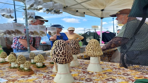 5 Things to Do: Morel Fest & Burger Bash, Whiskey Dinner, Sip ‘N’ Sip in Utica this weekend