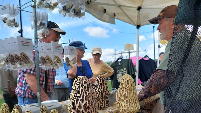 5 Things to Do: Morel Fest & Burger Bash, Whiskey Dinner, Sip ‘N’ Sip in Utica this weekend