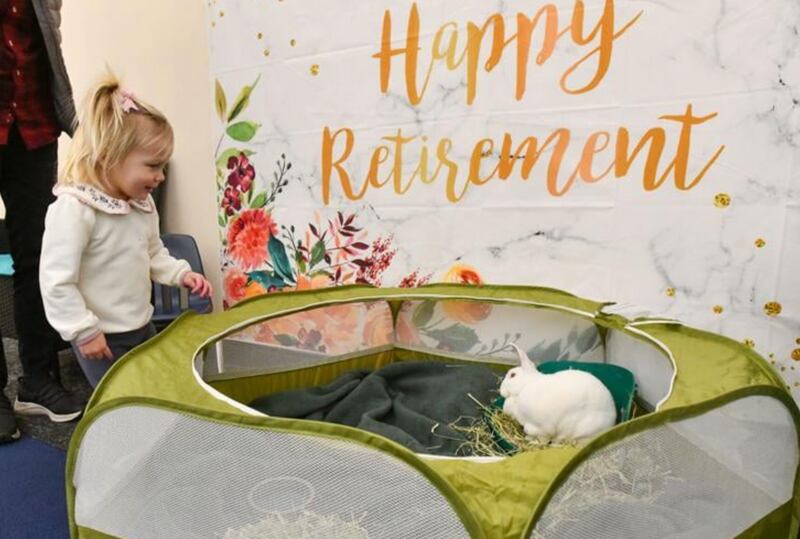 Two-year-old Autumn Brinkmann, of Momence, says goodbye to Sir Edmund Winterbottom during his retirement party Wednesday at the Bourbonnais Public Library, where he has served as their bunny mascot for five years.