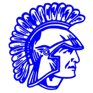 St. Francis volleyball defeats St. Charles East in regional semifinal: Tuesday’s Kane County sports roundup