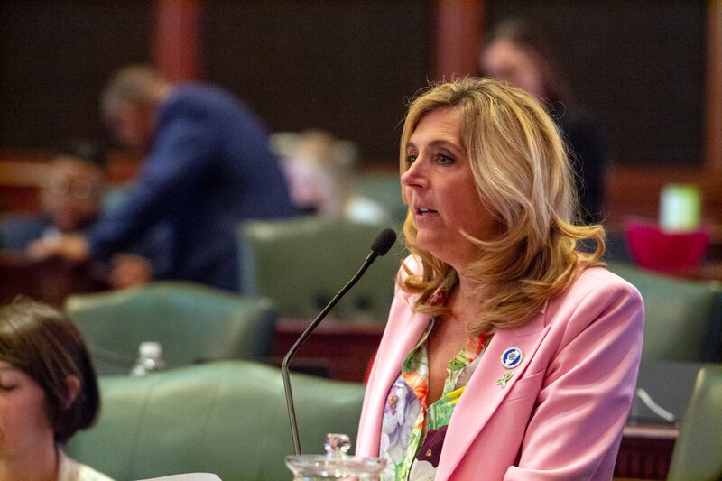 State Rep. Terra Costa Howard, D-Glen Ellyn, is calling for stronger homeschool laws following reporting about the state’s lax oversight. She’s pictured in a file photo on the House floor.