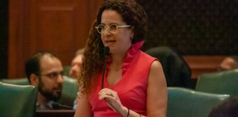 Rep. Mary Beth Canty, D-Arlington Heights, speaks on the House floor April 17. Canty is the sponsor on a contentious human composting bill.