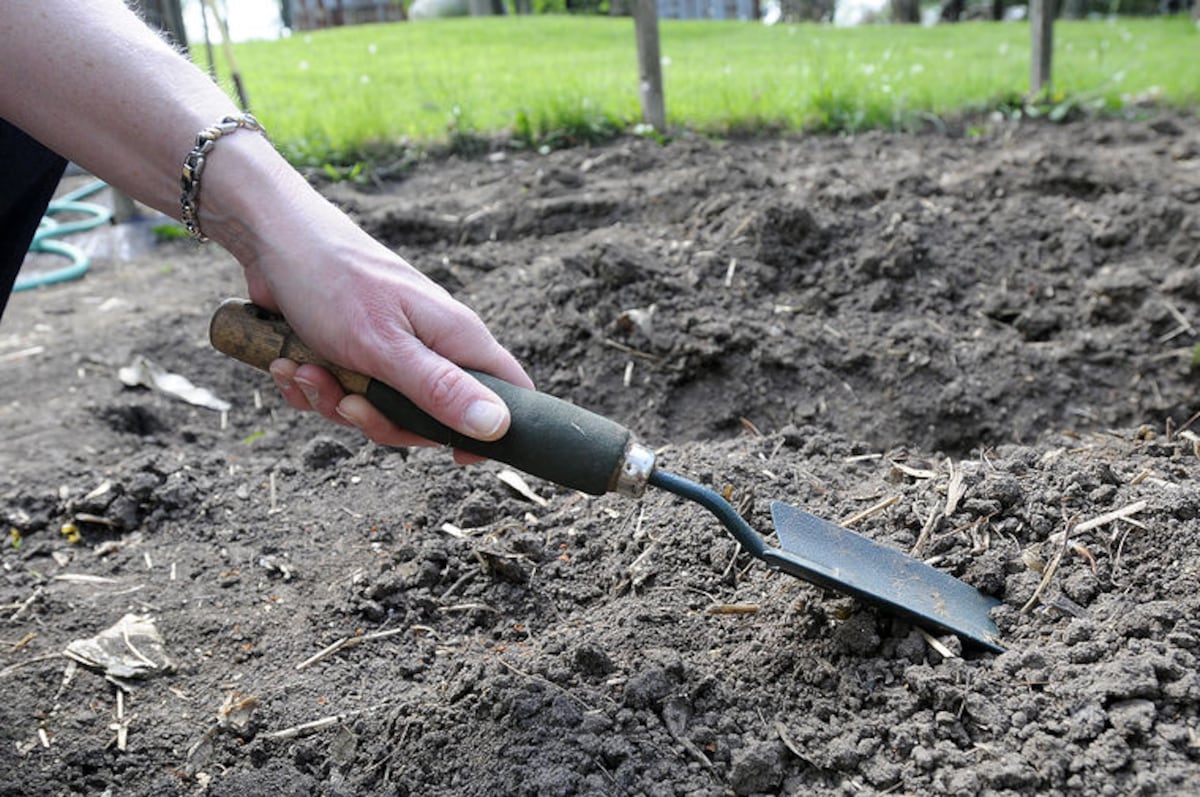 4-H Little Roots Garden Program invites kids to learn about gardening