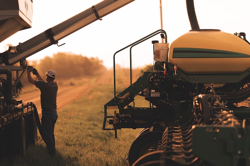 Even and timely emergence results from planting seeds in warm, dry soil with good seed-to-soil contact.