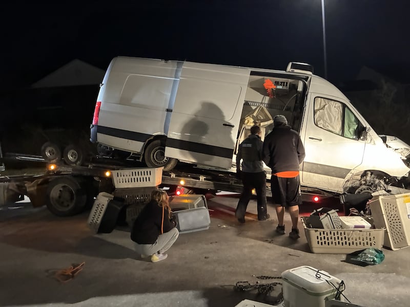 A Sprinter transport van for Starfish Animal Rescue in Geneva crashed on Interstate 65 in Lafayette, Ind., Saturday, Jan. 25, 2026, with 60 dogs and three cats. The driver and animals were not hurt, but the van was totaled.