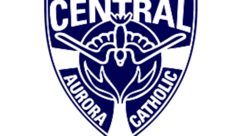 Aurora Central Catholic girls soccer comes out aggressive, tops Mendota for regional title