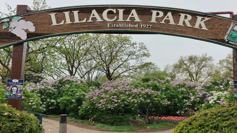 Springtime festivals celebrate music, art, history in northern Illinois