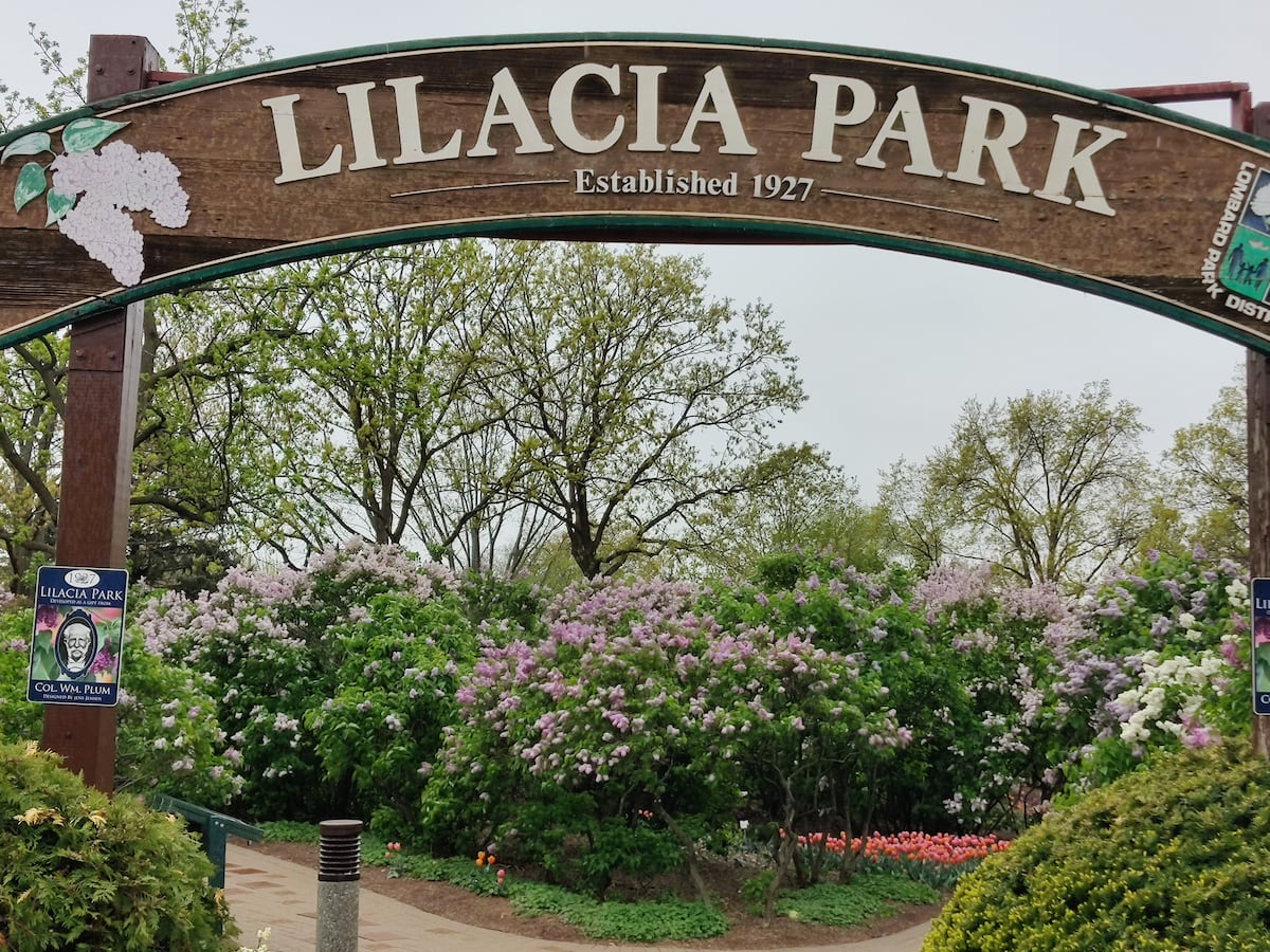 Springtime festivals celebrate music, art, history in northern Illinois