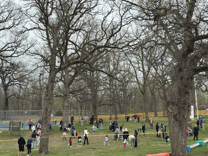 Children look for Easter eggs around Goold Park in Morris on Saturday, April 19, 2025.