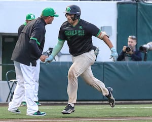 Meet the 2025 Herald-News All-Area Baseball Team