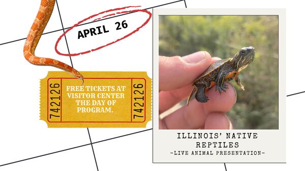 Learn about native reptiles April 26 at Starved Rock