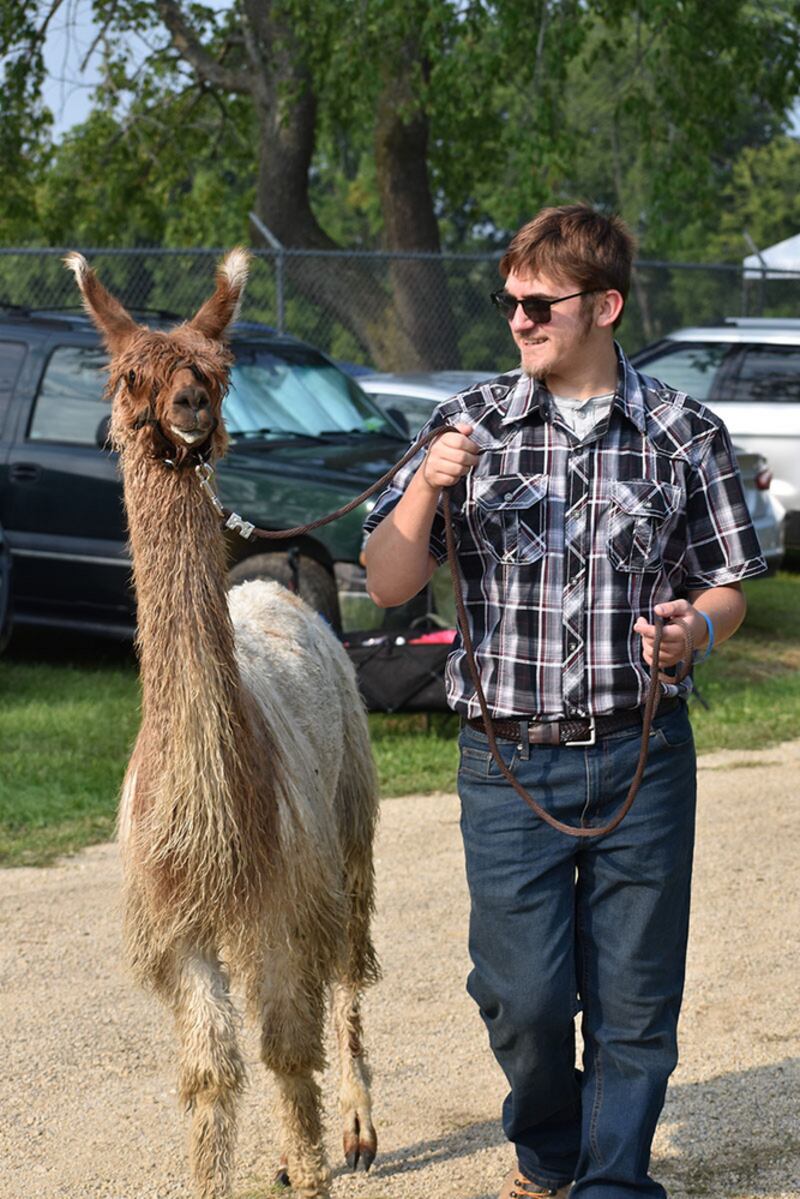 Immanuel Arellano walks to his class with his llama.