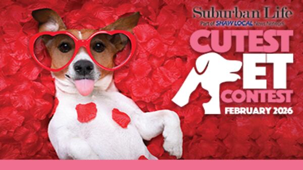 Voting is open in Suburban Life February Cutest Pet Contest!