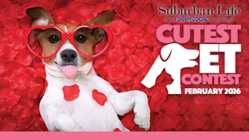 Voting is open in Suburban Life February Cutest Pet Contest!
