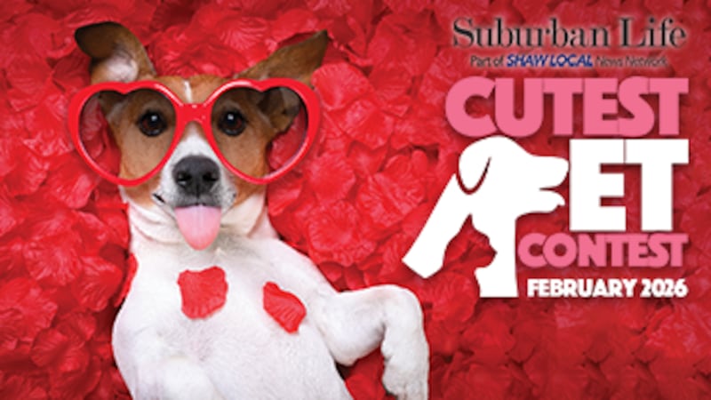 Voting is open in Suburban Life February Cutest Pet Contest!
