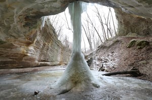 5 Things to Do: Take a First Day Hike, Wildlife Trolley Tours, wedding expo and more