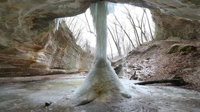 5 Things to Do: Take a First Day Hike, Wildlife Trolley Tours, wedding expo and more