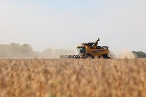 Bountiful harvest in Kankakee County