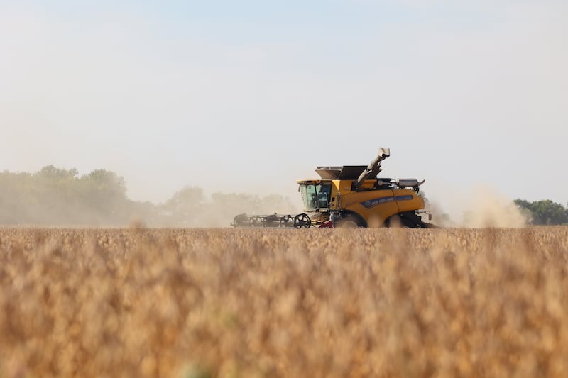 A farmer harvests soybeans in a field near Buckingham on Sept. 30, 2025.