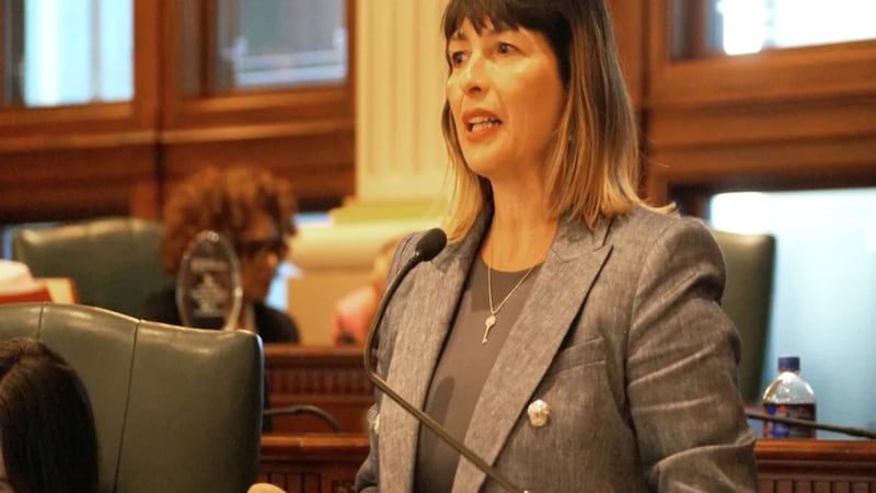 Latin American history, pet custody bills advance in Springfield ahead of deadline