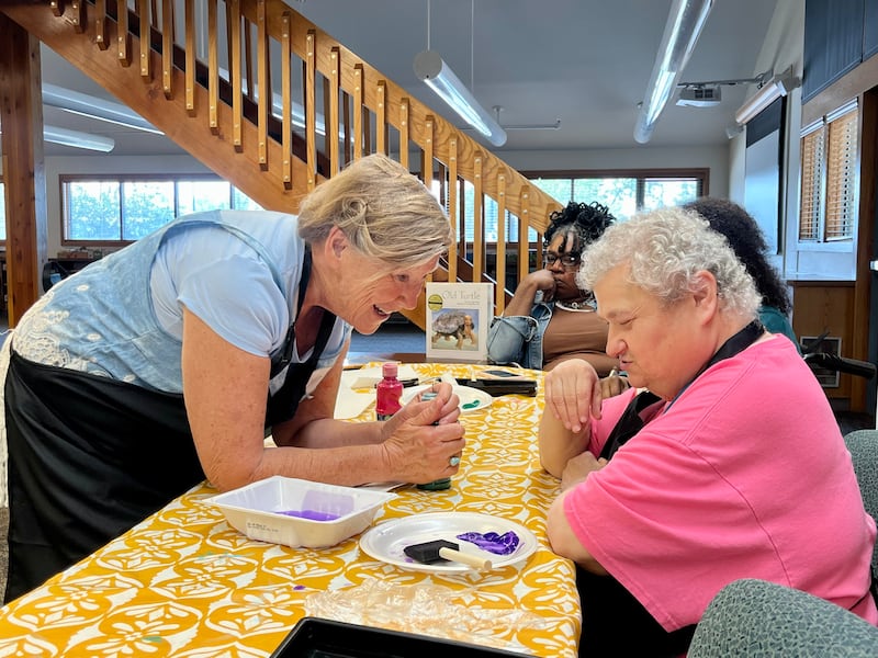 Art instructor Carolyn Kyle teaches participants of her "Art for Everyone" class at the Yorkville Public Library how to use paints to capture a tortoise's shell on a canvas.